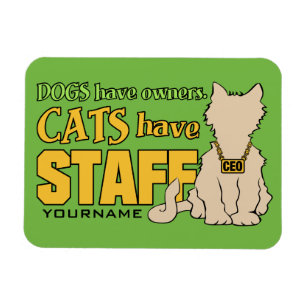 Imán LOS CATS TIENEN IMAGEN DE personalizado DEL PERSON