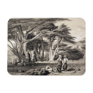Imán Los cedros de Líbano, grabados por Freeman (sepia