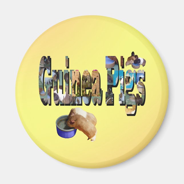 Imán Los Cerdos De Guinea Son La Palabra, Magnet (Frente)