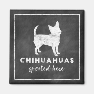 Imán Los Chihuahuas Se Vieron Con El Cartel Vintage