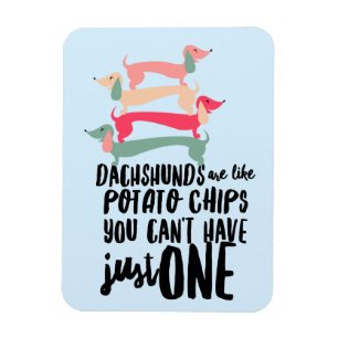 Imán Los Dachshunds son como Papas Fritas 3"x4"Imán de 
