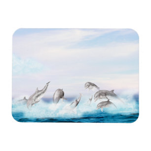 Imán Los delfines saltantes