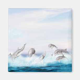 Imán Los delfines saltantes