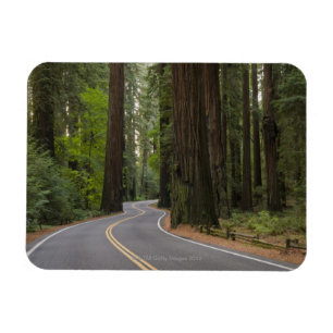 Imán Los E.E.U.U., California, camino a través del