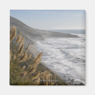 Imán Los E.E.U.U., California, costa de Mendocino