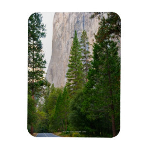 Imán Los E.E.U.U., California, parque nacional de