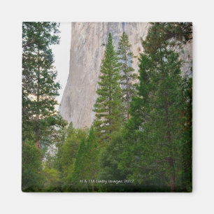 Imán Los E.E.U.U., California, parque nacional de