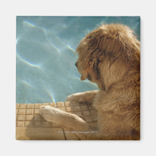 Imán Los E.E.U.U., Hawaii, Honolulu