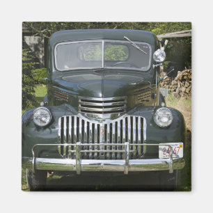 Imán Los E.E.U.U., MASSACHUSETTS, Martha's Vineyard: 4