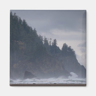 Imán Los E.E.U.U., Oregon, el condado de Tillamook,