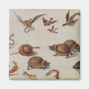 Imán Los enemigos de serpientes