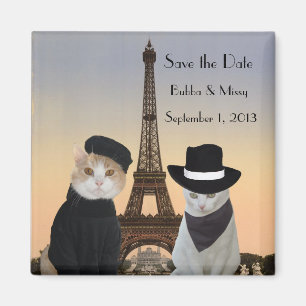 Imán Los gatos divertidos ahorran la boda de París de