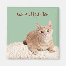 Los gatos magnéticos también son personas