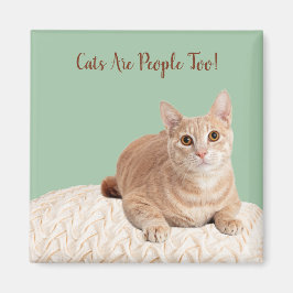 Imán Los gatos magnéticos también son personas
