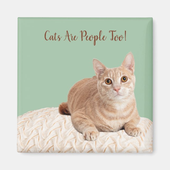 Imán Los gatos magnéticos también son personas (Frente)