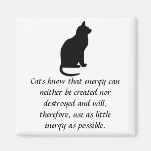 Imán Los gatos saben que la energía se puede ni crear