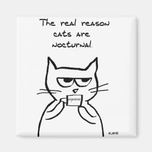 Imán Los Gatos Se Levantan Toda La Noche - Gracioso Gat