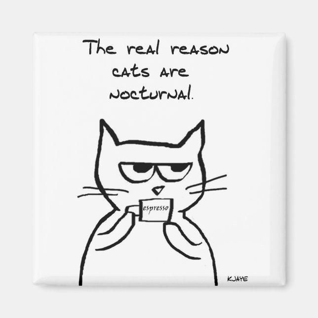 Imán Los Gatos Se Levantan Toda La Noche - Gracioso Gat (Frente)