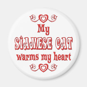 Imán Los gatos siameses calientan mi corazón