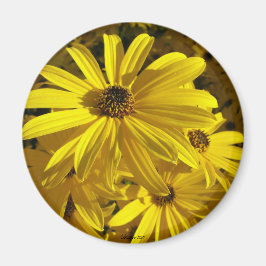 Imán Los girasoles en el zoológico