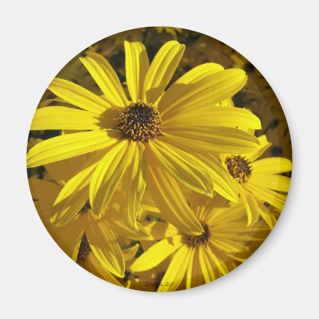 Imán Los girasoles en el zoológico (Frente)