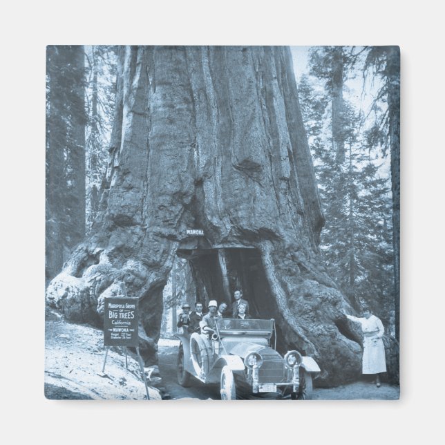 Imán Los grandes árboles de Mariposa Grove (Frente)