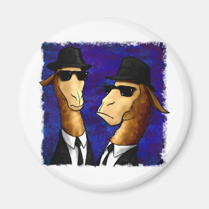 Imán Los hermanos de la llama