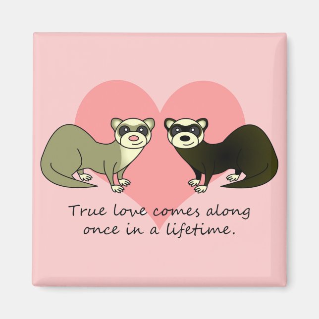 Imán Los hurones cutáneos amor verdadero (Frente)