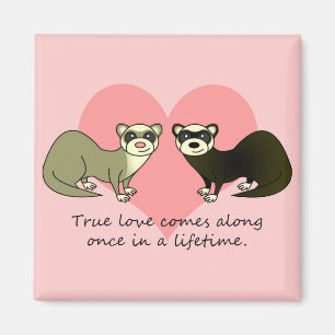 Imán Los hurónes lindos verdad amor