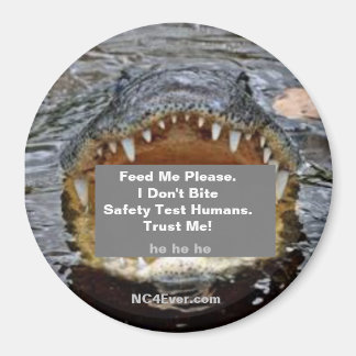 Imán Los lagartos no muerden a los humanos de las prueb