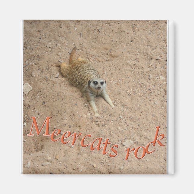 Imán ¡Los Meercats rock! (Frente)