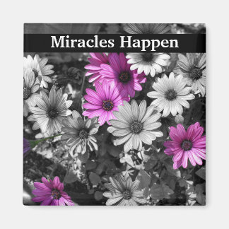 Imán Los milagros ocurren en Daisies Inspiradores
