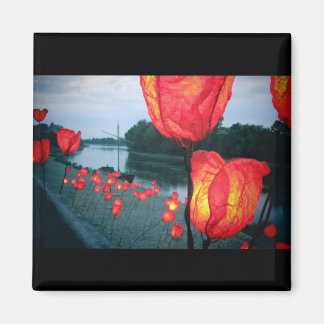 Imán “Los muelles, la noche "