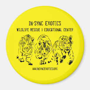 Imán Los niños pequeños -