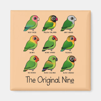 Imán Los nueve originales