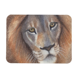 Imán Los ojos de los leones