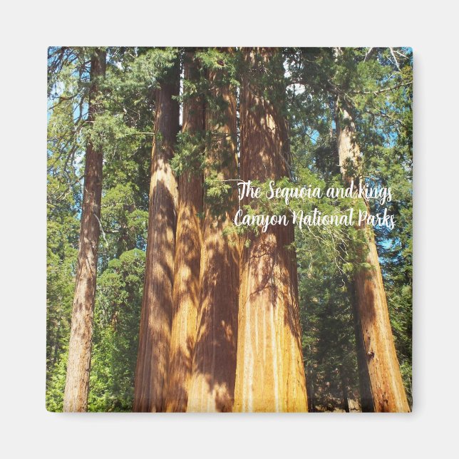 Imán los parques nacionales de las secuoyas y los  (Frente)