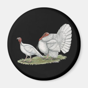Imán Los pavos son blancos