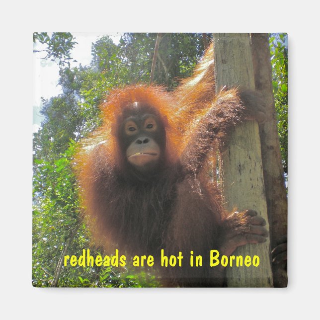 Imán Los pelirrojos son humor caliente (Frente)