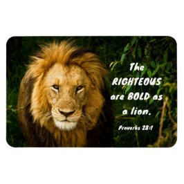 Imán Los proverbios 28:1 Los rectos son audaces como un