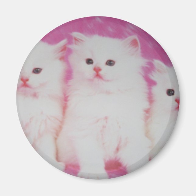 Imán Los próximos modelos principales de Estados Unidos (Frente)