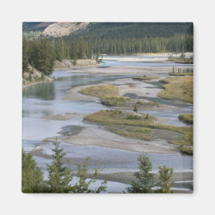 Imán Los ríos atraviesan una sección de tierras bajas d