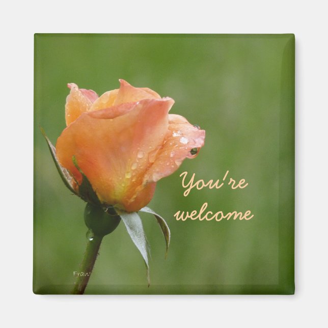 Imán Los rosas son naranjas (Frente)