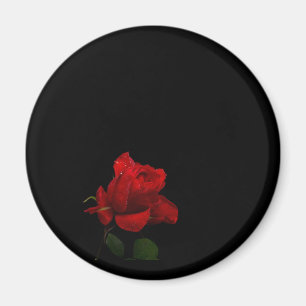 Imán Los rosas son rojos