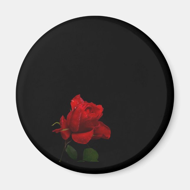 Imán Los rosas son rojos (Frente)