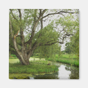 Imán Los verdes de magnífico pre