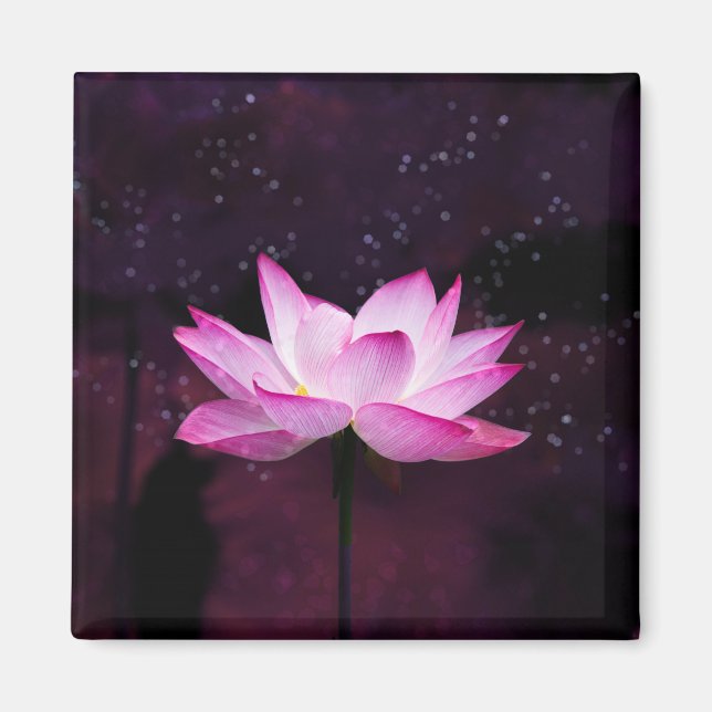 Imán loto mágico - (Frente)