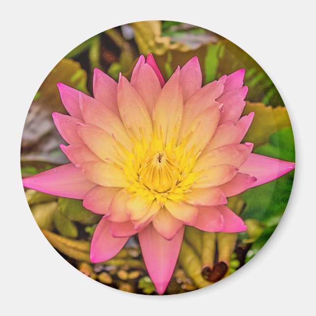 Imán Lotus Flower of Life (Frente)