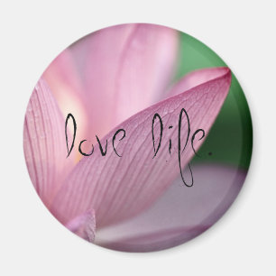 Imán Lotus, Love Life