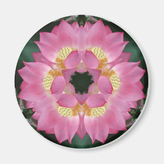 Imán Lotus Starburst